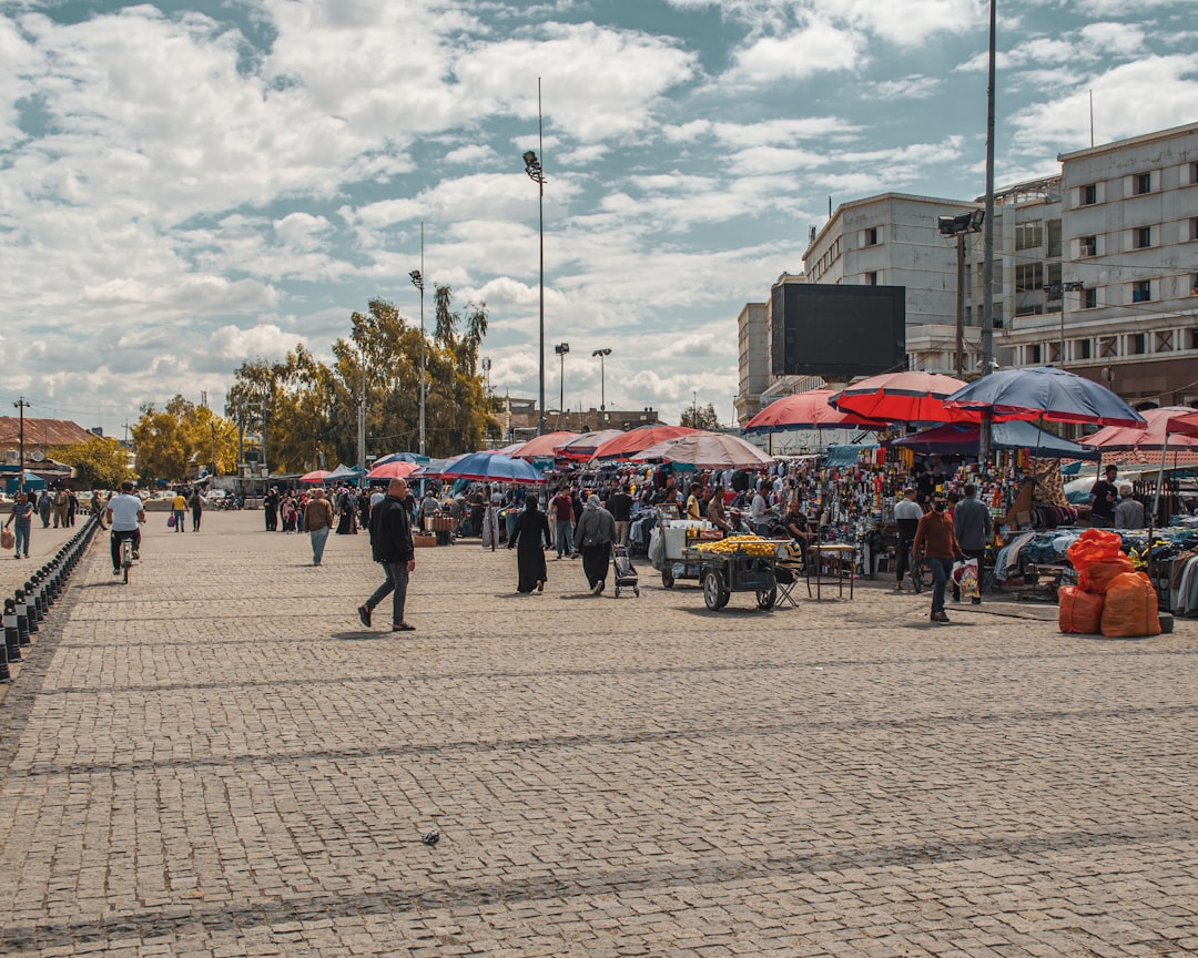 Festiwal pyry w Wielkopolsce – ziemniaki w roli głównej
