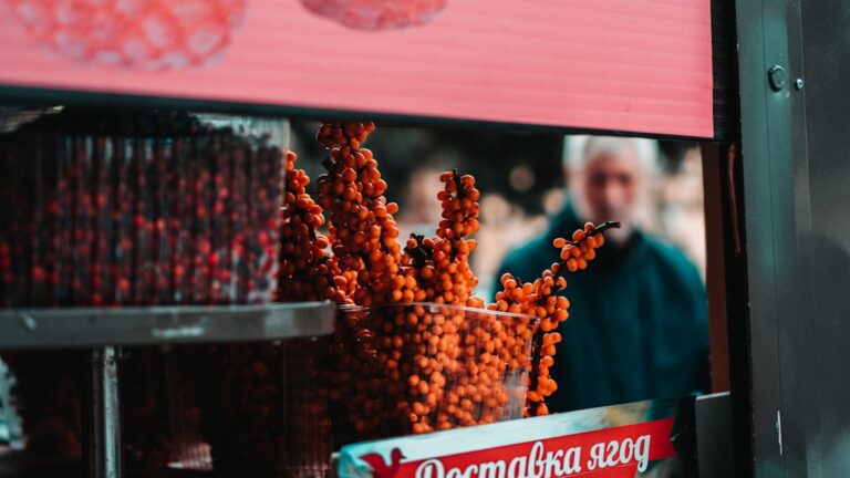 Wielkopolskie jarmarki kulinarne – gdzie i kiedy się odbywają?